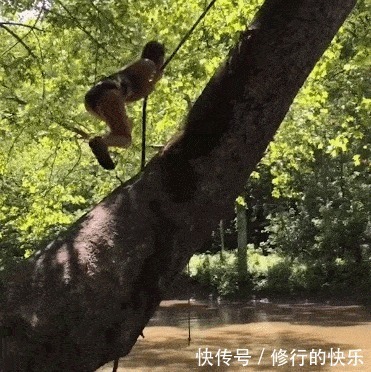 |搞笑GIF段子:“小李啊,你看人家那谁在北京买房了