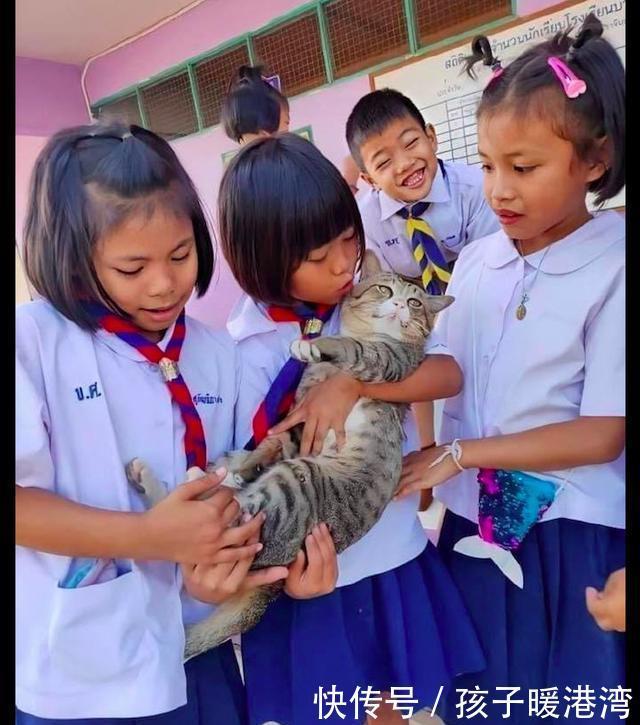 来回|老师把猫带到学校里，它被小朋友抱在怀里来回摸，表情太享受了！