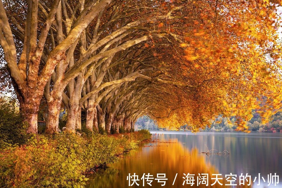 疾病|植物神经紊乱的不良影响