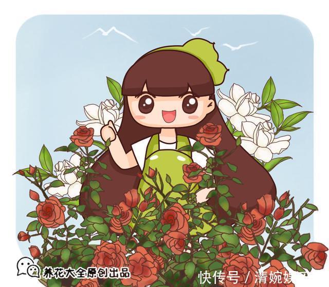 这东西|这东西不难找,栀子扦插有“它”相助,谁也会操作