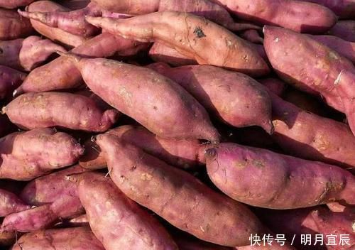 保存红薯,直接丢地上是大错!学会这招,放半年都不坏,越放越甜