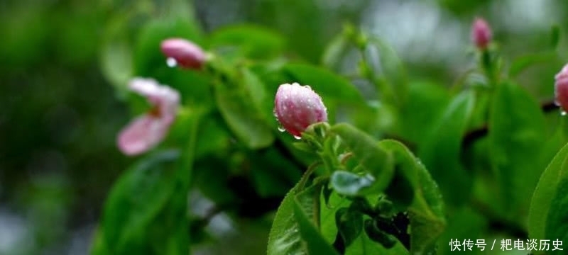 名篇|宋朝诗僧独自外出游玩,看到迷人的风景,写下一首唯美的千古名篇