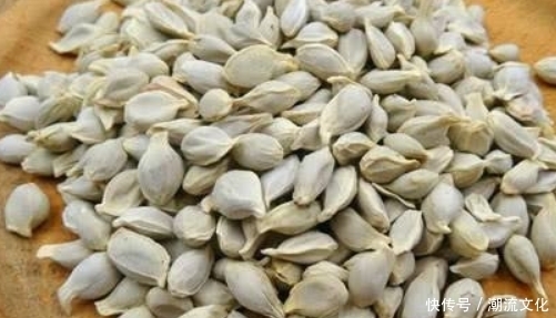 橘子籽可是个宝,别再扔掉了,有着很多不为人知的好处,了解下