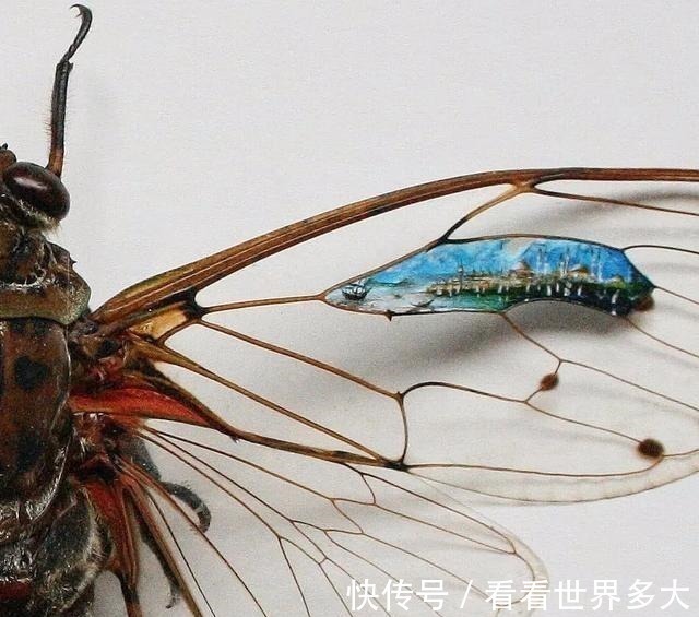 砂糖粒@惊爆眼球!60岁帅大爷在头发丝上画画,米粒、瓜子都给他当画布!