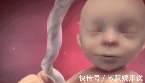胎儿|除了睡觉,胎儿在妈妈肚子里干啥呢每个妈妈都应该看看