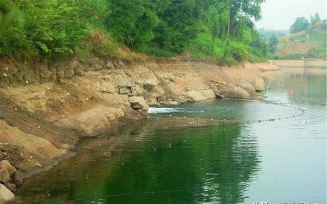 钓鱼|夏季选钓位，找这些低水温、高溶氧的位置，往往能找到鱼群