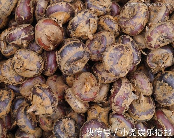 毒瘤|6岁女童胃里抽出一斤脓液，夏季有些水果像毒瘤，你还敢给娃吃吗