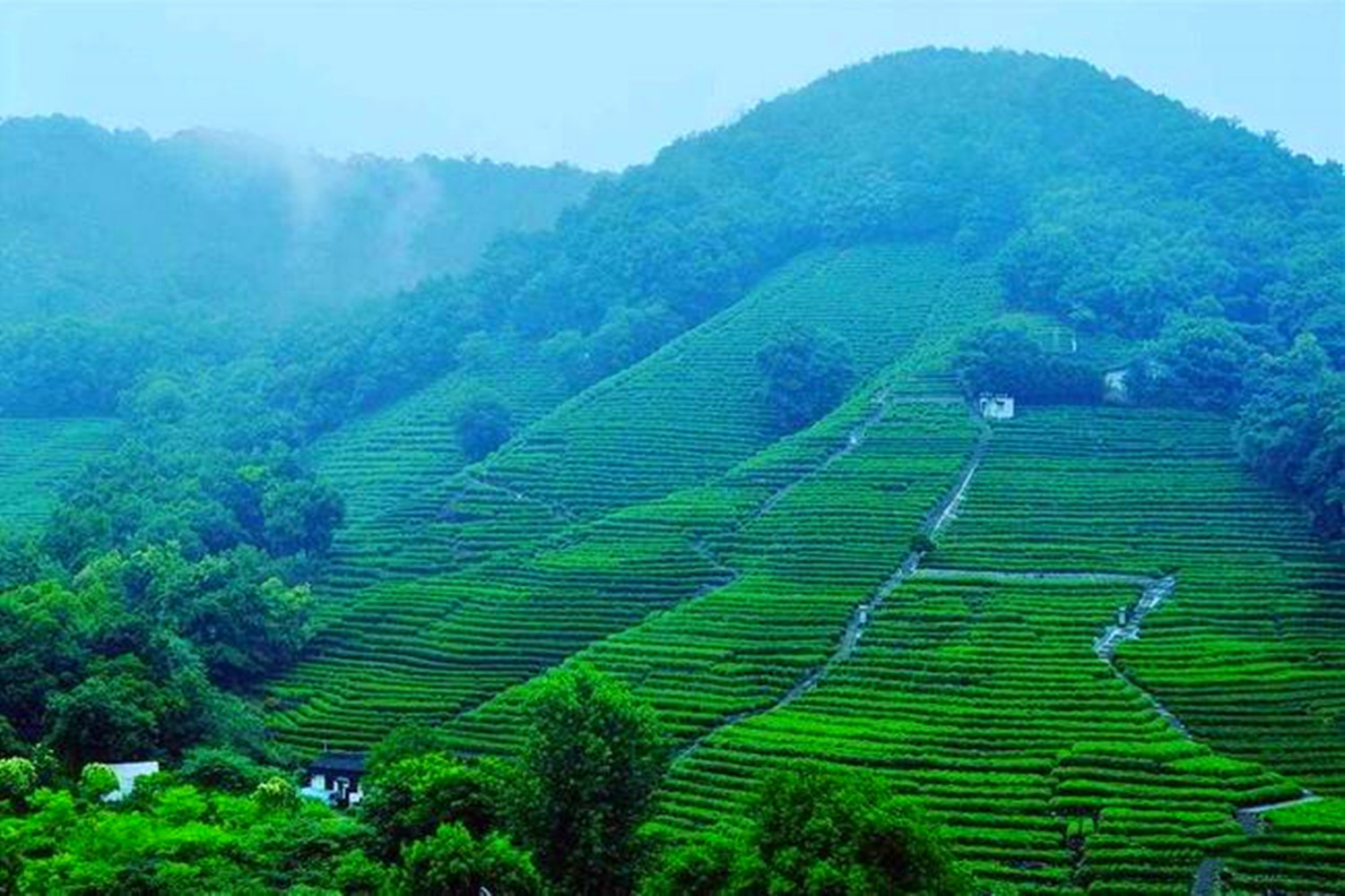 杭州除了西湖之外，有哪些山值得一爬？推荐这四座小山，景色不错