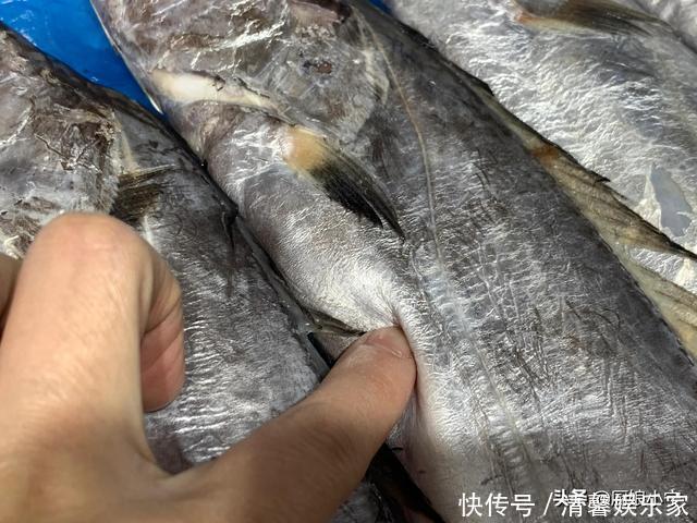 带鱼,黑眼睛和黄眼睛哪种好吃?内行人教你3招,带鱼肥厚又新鲜