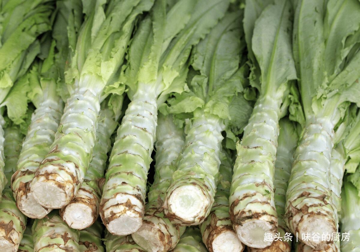 香干|夏季吃苦，胜似进补，5种“苦菜”要常吃，开胃去火，全家适宜