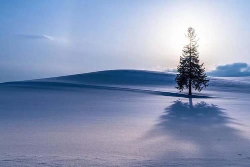 雪祭|日本哪场雪最令你心动？