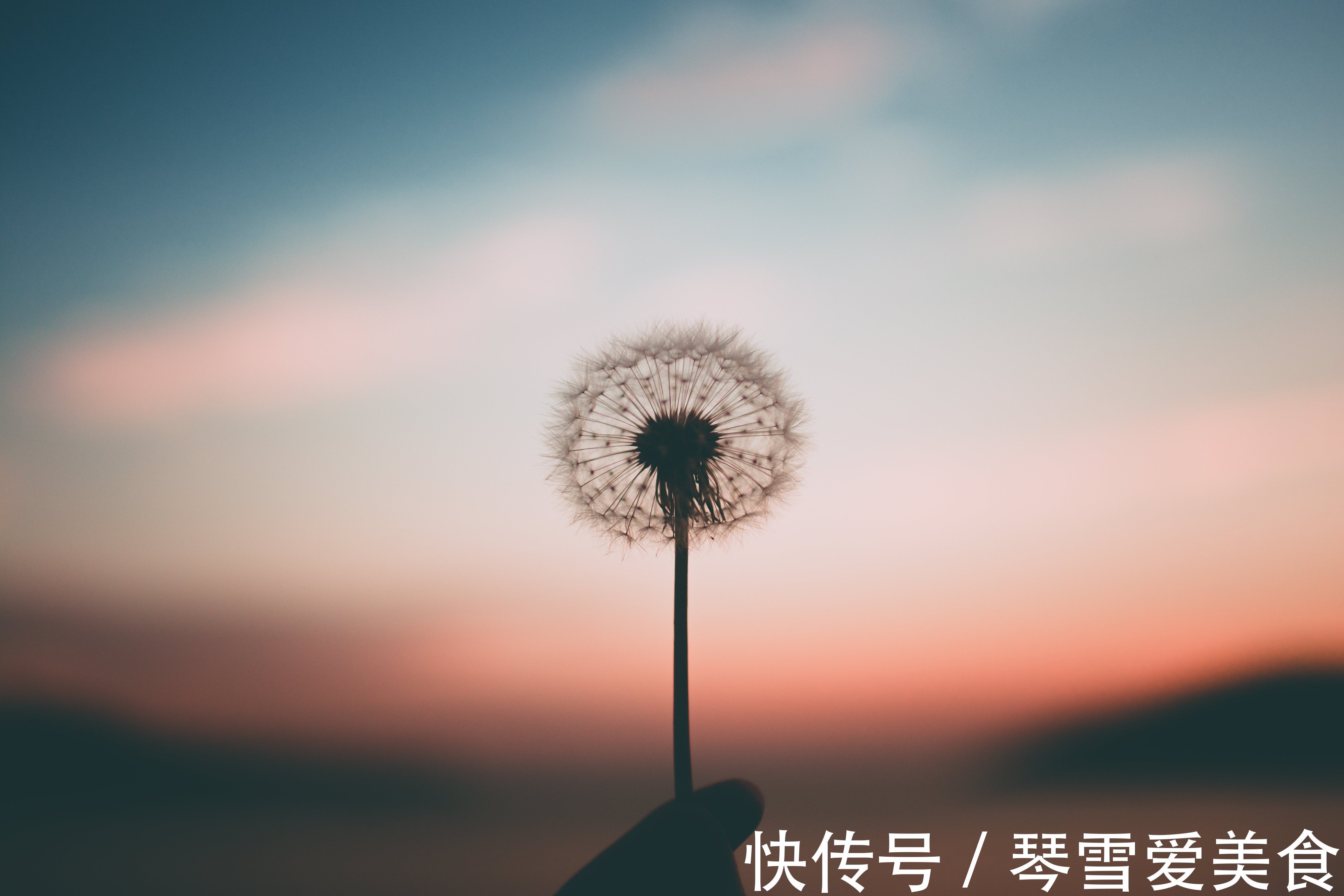 大姨|儿女成家后,和亲家相处做到2点就够了,很重要