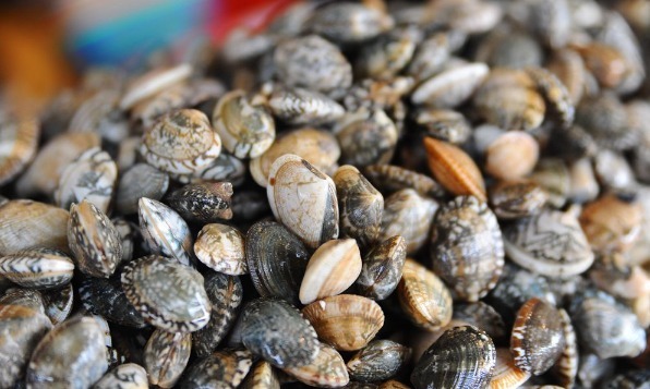 爆炒|蛤蜊吐沙别焯水,肉会变老,老渔民教你方法,快速吐沙,鲜嫩美味