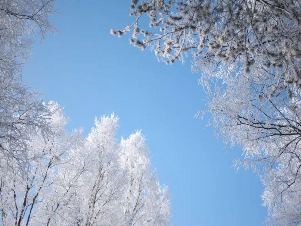  音乐|大雪时节：听10首雪的音乐，温暖你的心田