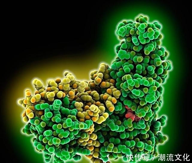 26个冷知识:或许从没听说过,但却真实存在于现实世界