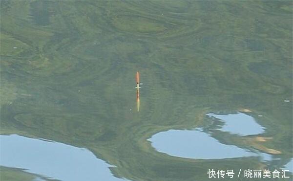 钓鱼技巧:钓行程钓法的操作要点,学会这招,多种鱼情都能应付
