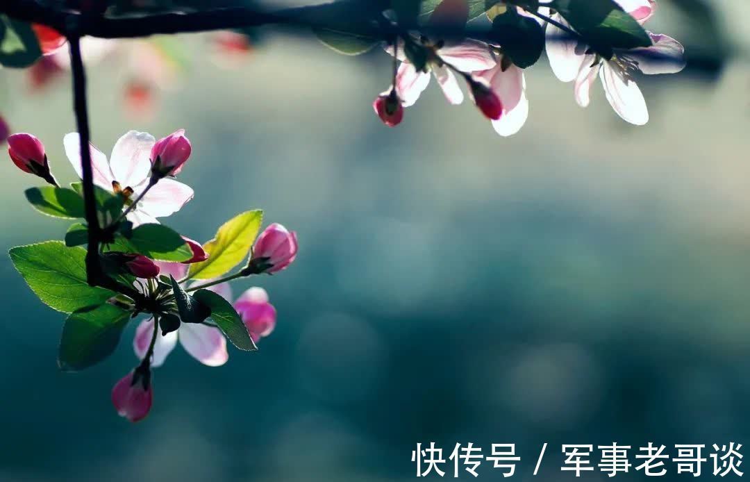 淑女!优雅,是一种岁月