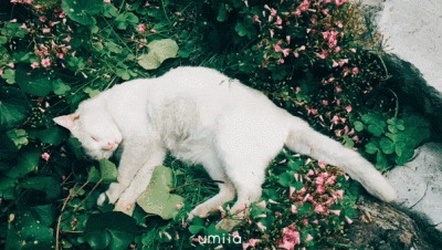 懒腰|这个动作可能会让你“菊花一紧”，但是却胜过运动2小时