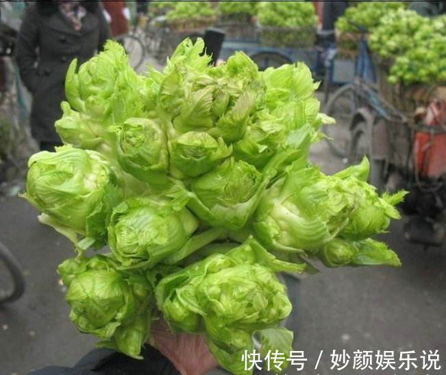 人称“母子菜”，口味清香炒肉是一绝，不知有那么多作用，可种吗