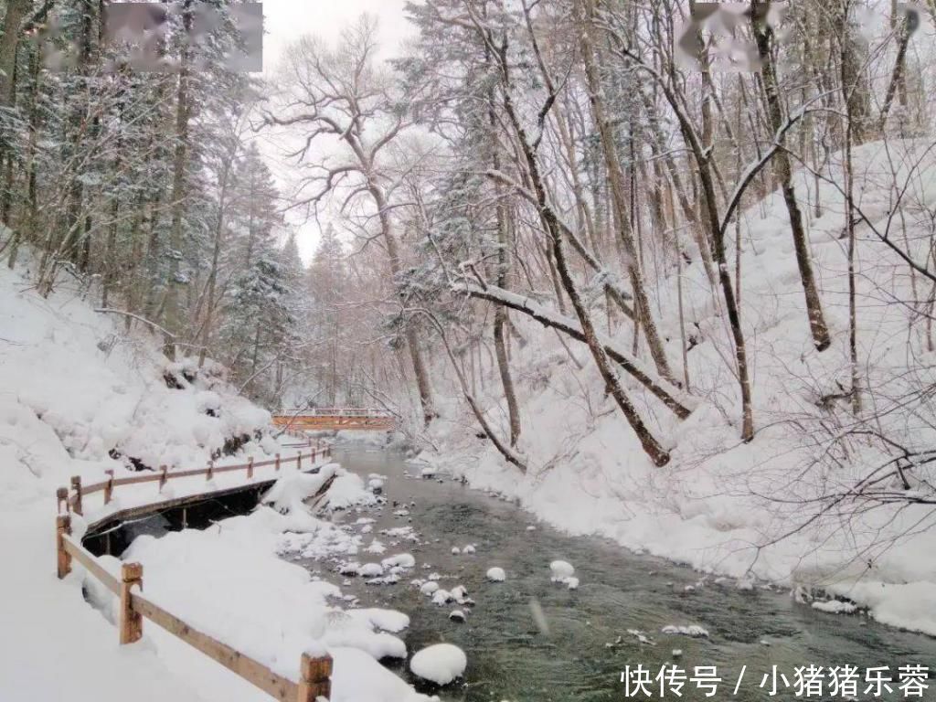 沉淀|入冬而不冻的奇观，来自“冰河”的叮咚优雅