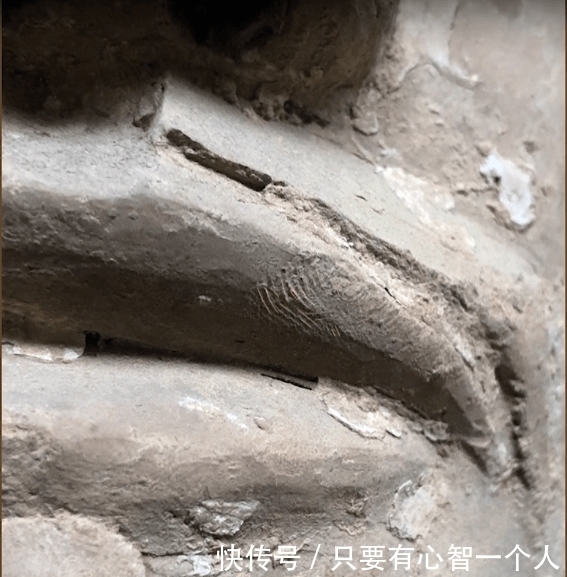 拍照|央视点赞!“给兵马俑拍照的人”,原来是他...