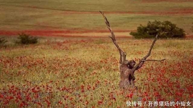 少女|18张图都隐藏着少女,找出6个正常,9个聪明,14个以上天才