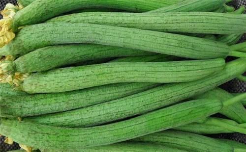 女人的天然“美容菜”,每天吃一吃,皮膚光滑水嫩,大肚子也平了