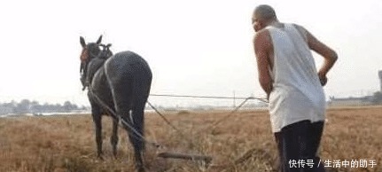 花椒+红糖太厉害了,腰腿不痛不麻了,坐骨痛也拜拜了!