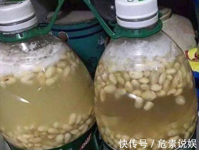 秋天养花，切忌“乱施肥”，4个“错误”要避免，要不谁也养不活