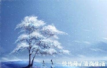 莫使金樽空对月&十二首古诗词中喝酒的名句太牛了,怎么能想的出来