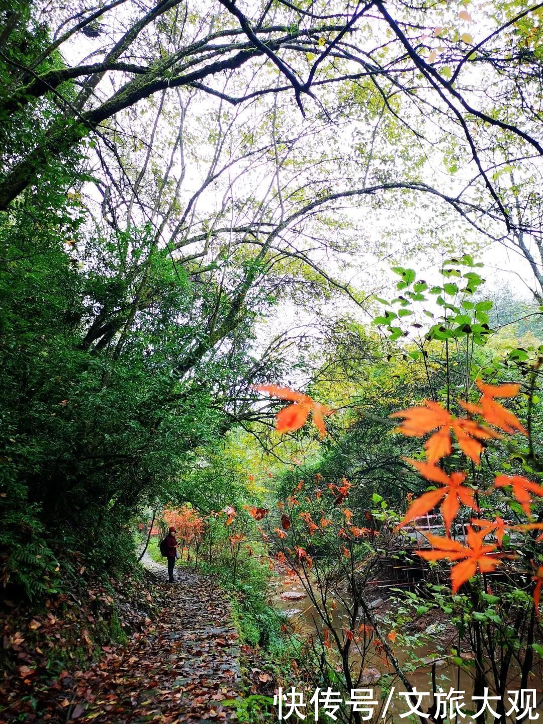 一帘|铜锣坝：烟雨里的一帘幽梦