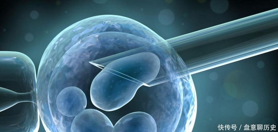 生育|31年前,我国第1个试管婴儿诞生,现在她怎么样了?