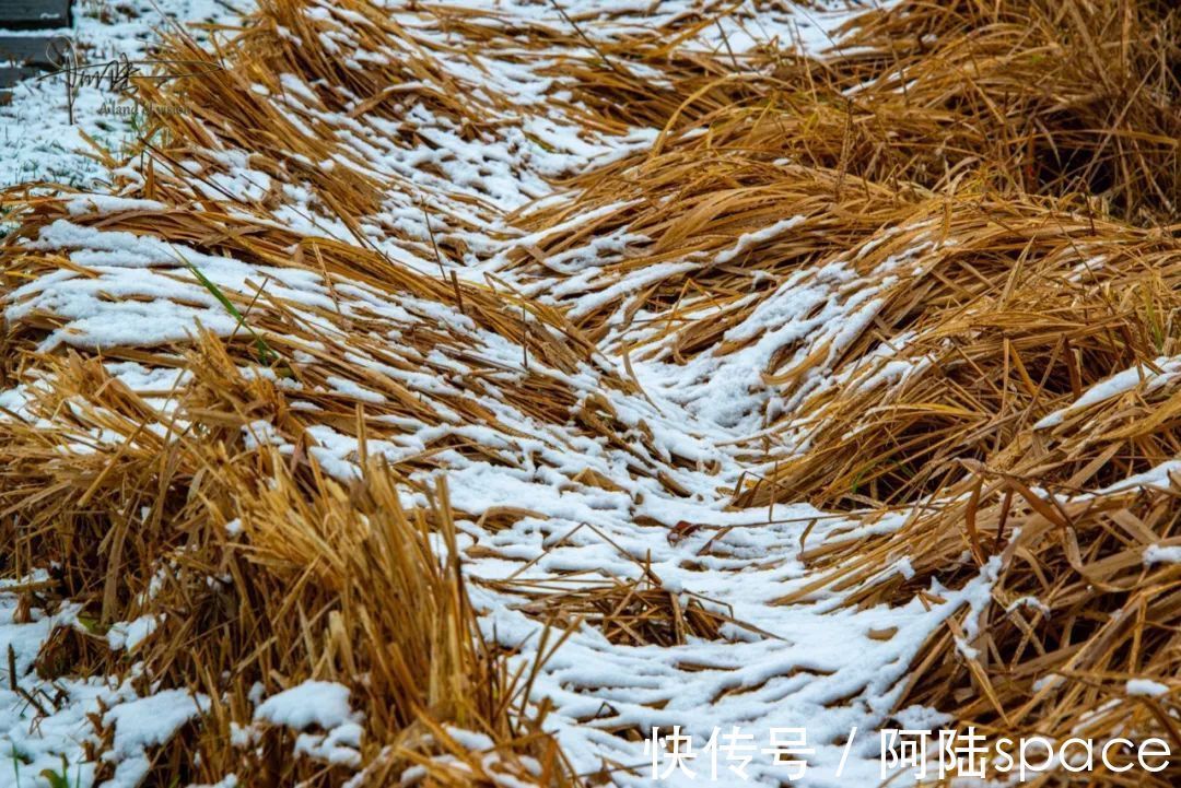 耳听八方|在雨雪天气游玩西溪湿地,风景很美但也要当心这些地方