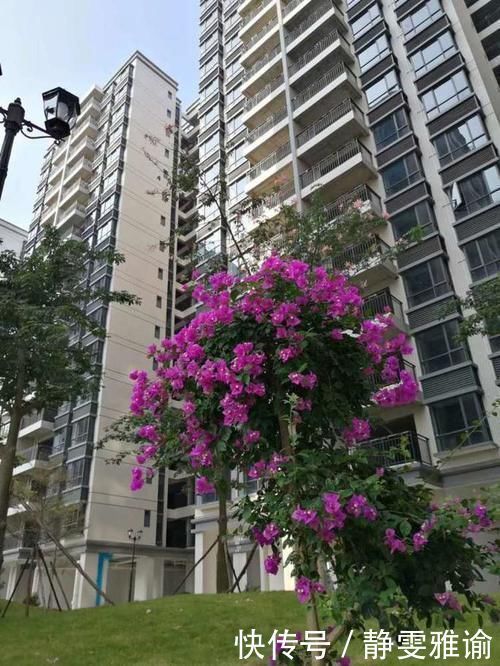 深圳|小产权房到底能不能买为什么受到那么多购房者追捧市场为什么那么火爆
