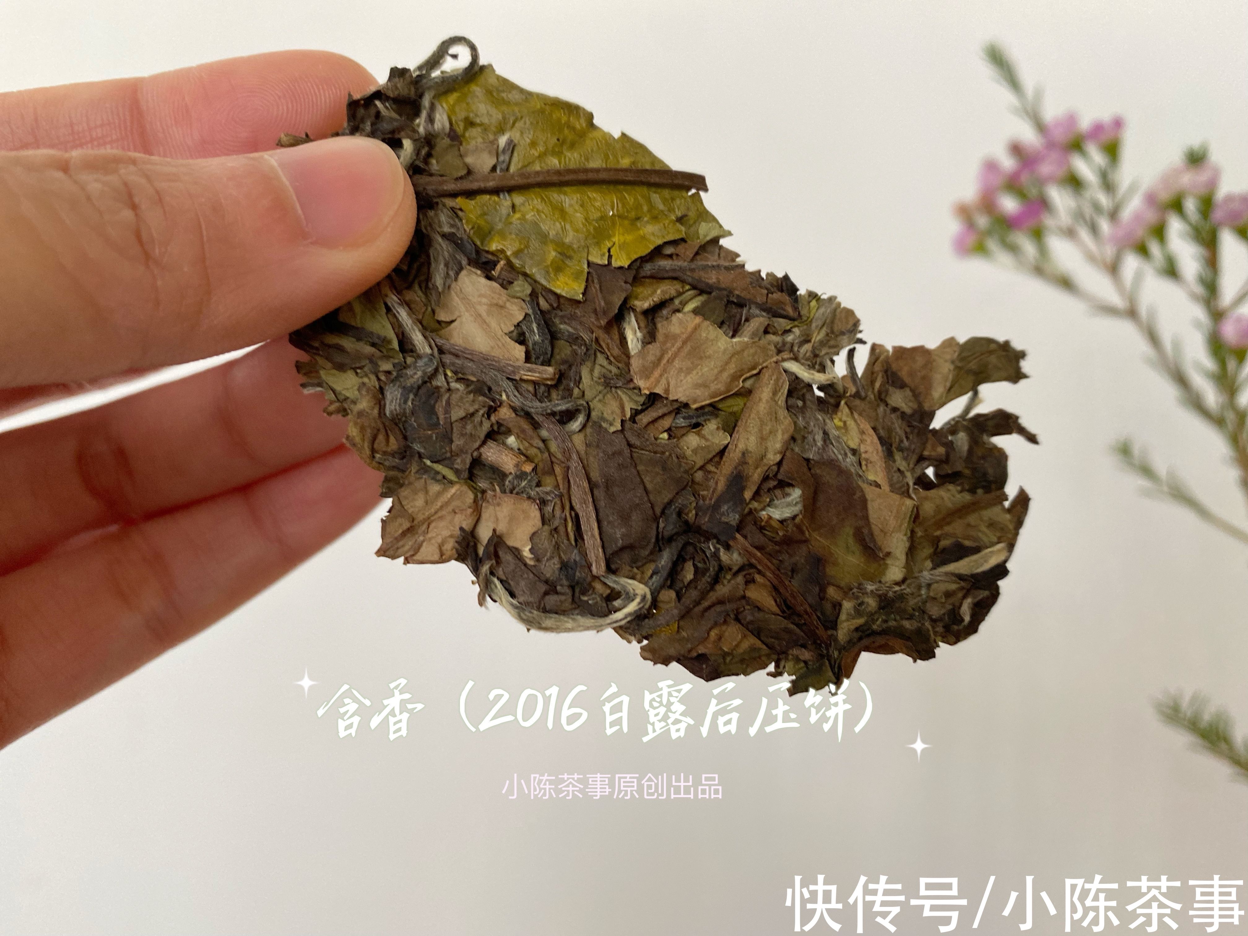 好喝|腊月十八，今日大寒，教你煮一壶简单又好喝的老白茶，温暖迎新年