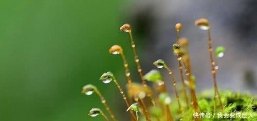  干谒|唐代的自荐信干谒诗：成绩很重要，但坚持努力更重要