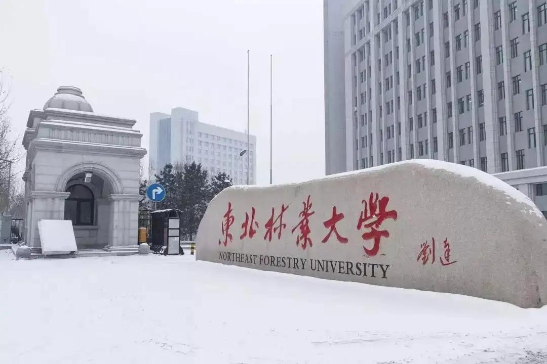 西南林业大学_院校信息库_阳光高考