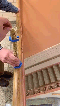 蛤蟆丸|玉兔捣的不是仙草，是蛤蟆丸！奇葩冷知识增加了