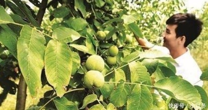 为何“尿毒症”越来越多尽量少碰这3物,肾可能会“感激”你