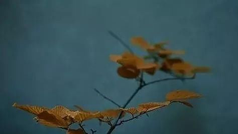  记住|多数人艾灸，其实是在泄自己元气？关于艾灸，你必须记住这5问！