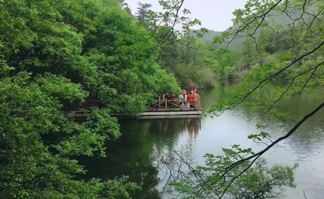 游客|国庆长假大洪山“自在随心游”受热捧