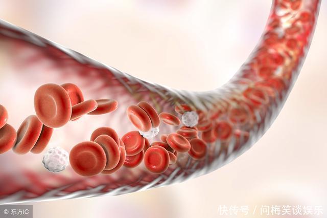 高血脂|血压高压150，低压110，怎么办？医生给出2个建议，助你血压平稳