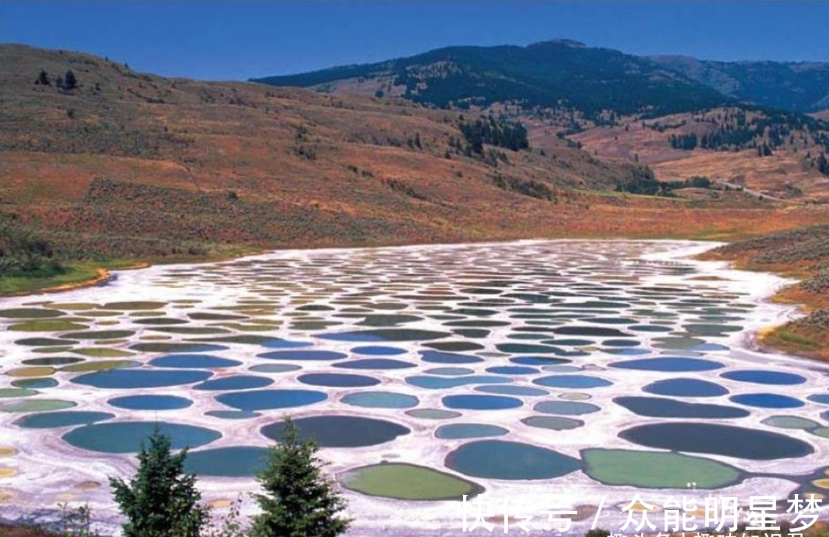 古希腊|8个新鲜有趣的冷知识，快来看看吧！