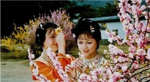 癞头和尚#红楼梦:癞头和尚为什么度林黛玉出家,而不度薛宝钗出家呢?