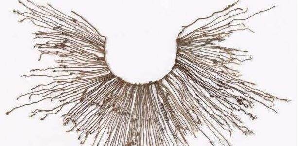 汉字真是仓颉创造的吗几种汉字的起源,你相信哪一种