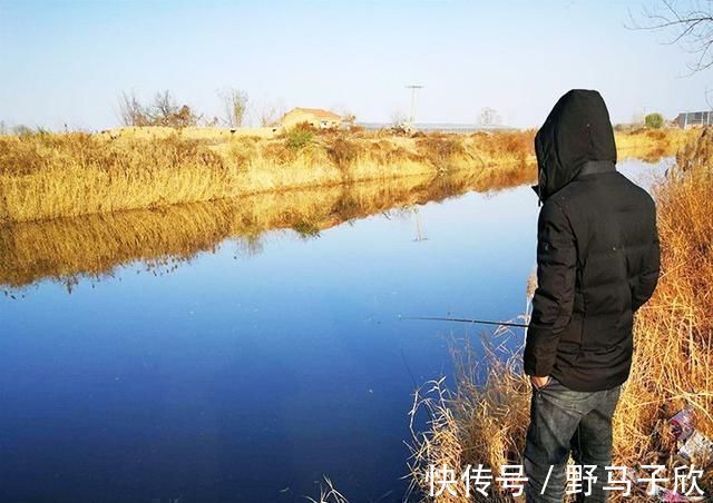钓位|新手为何经常钓不到鱼我以个人观点为你解惑