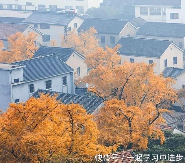 苏州人的宝岛秘境,美成仙境,却被时光遗忘!