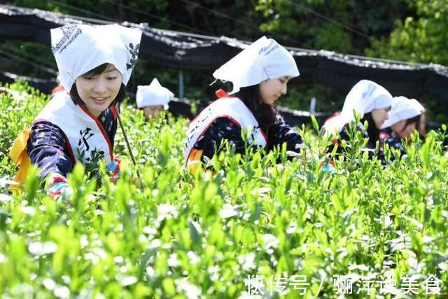 抹茶是用什么东西做成的，为啥叫抹茶吃了这么多年，终于知道了