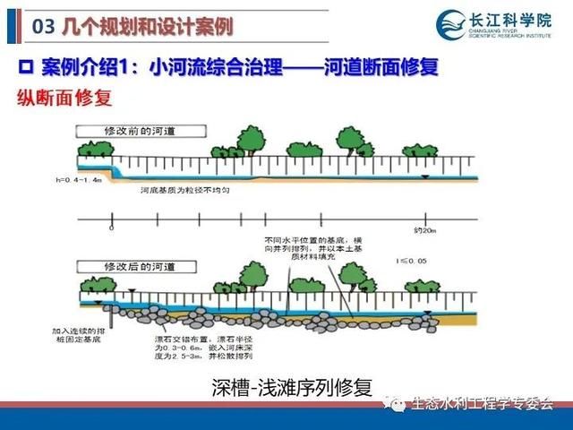 河流|「专家视角」许继军：河流生态修复理念、技术与实践