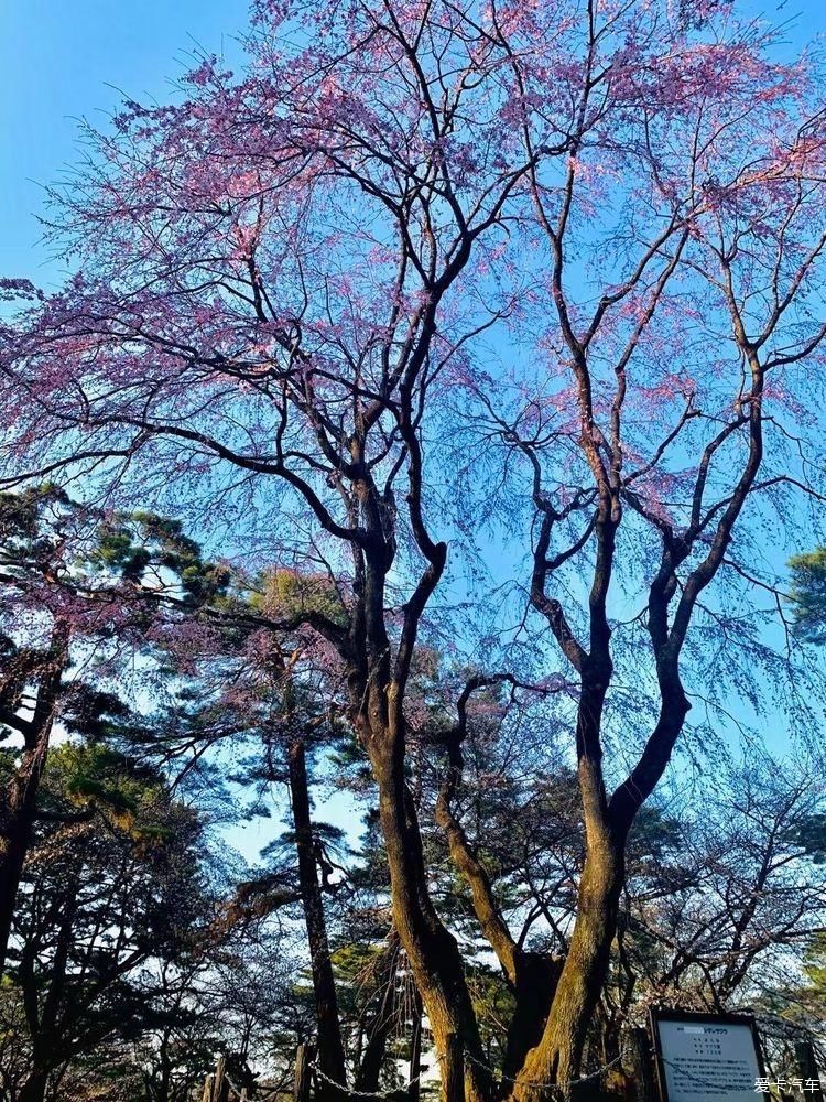 随处是风景